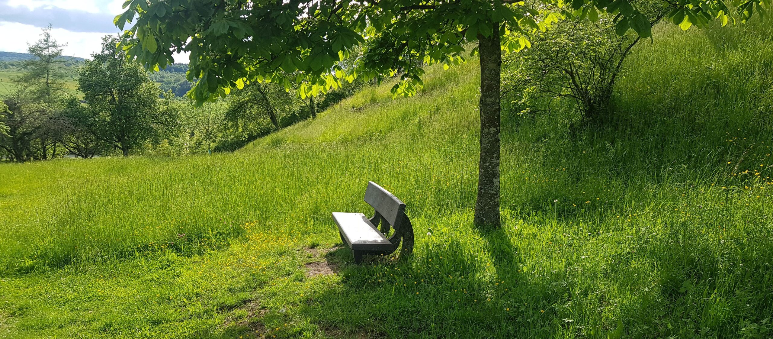 Glücklich und zufrieden älter werden