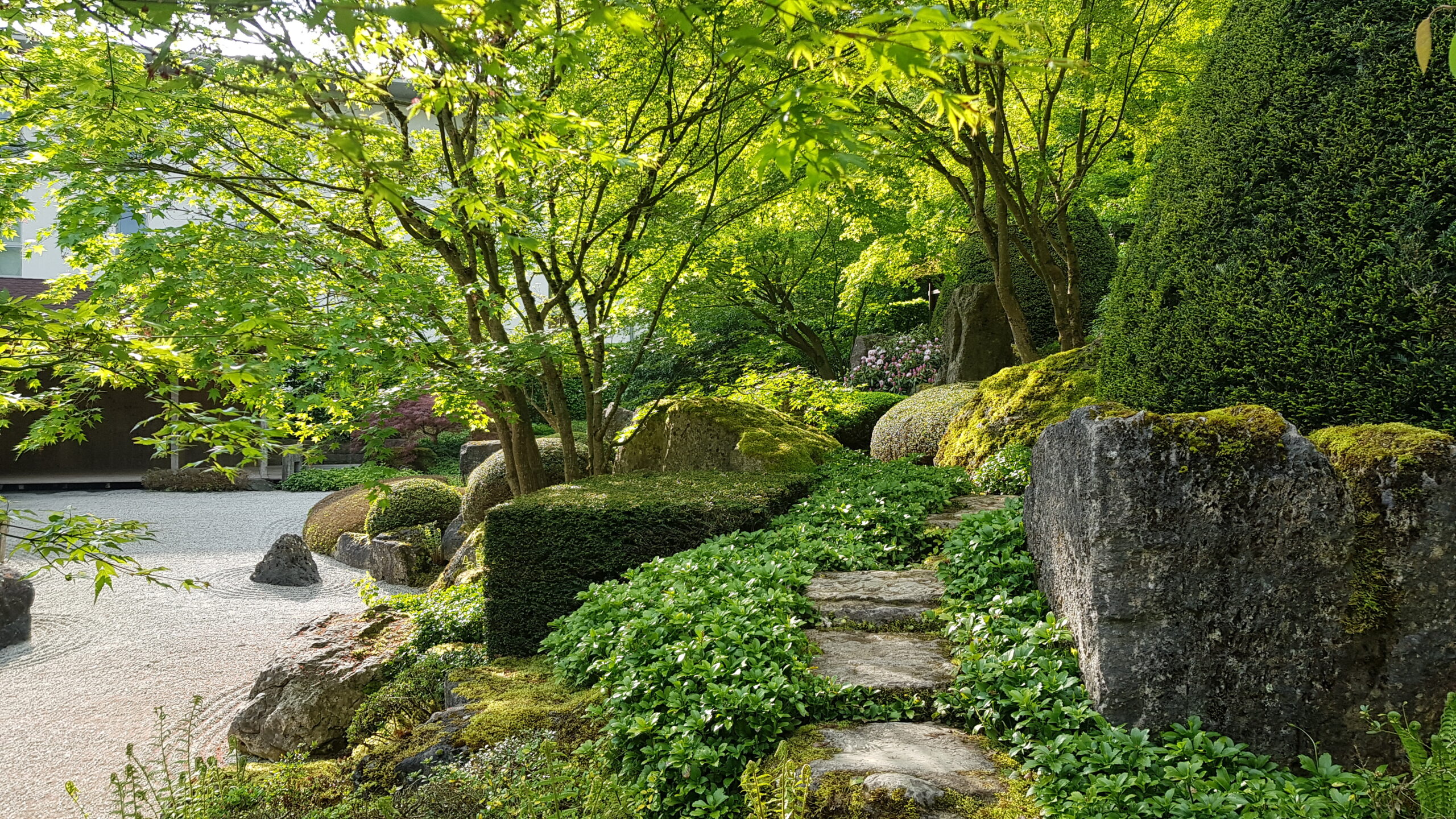 Entspannen mit Qi Gong (freitags 10 x 60 min)