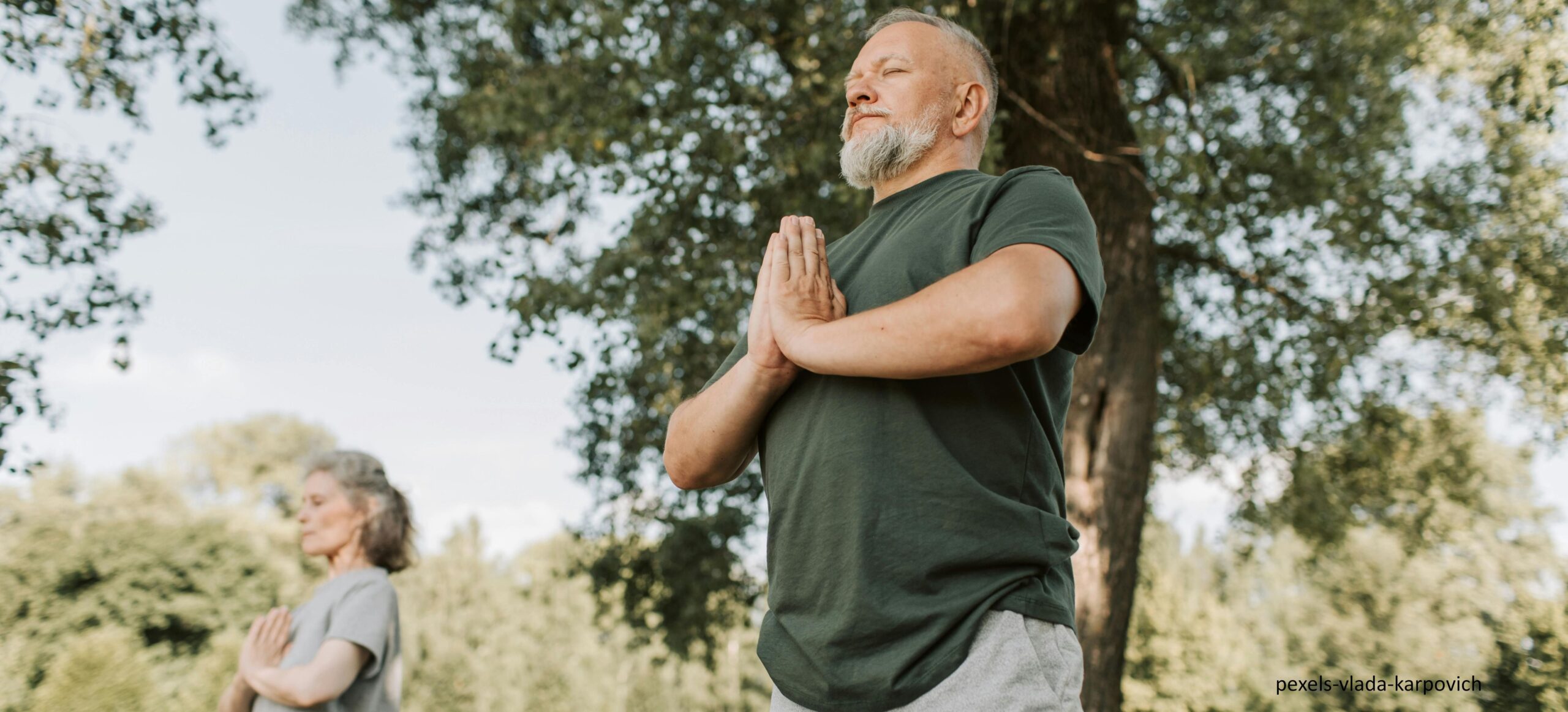 Lungen - Qi Gong (donnerstags 10 x 60 min)